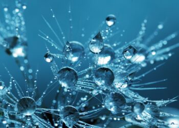 Inventore voluptatem quaerat a sit